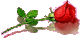  iptv  06.03.2024